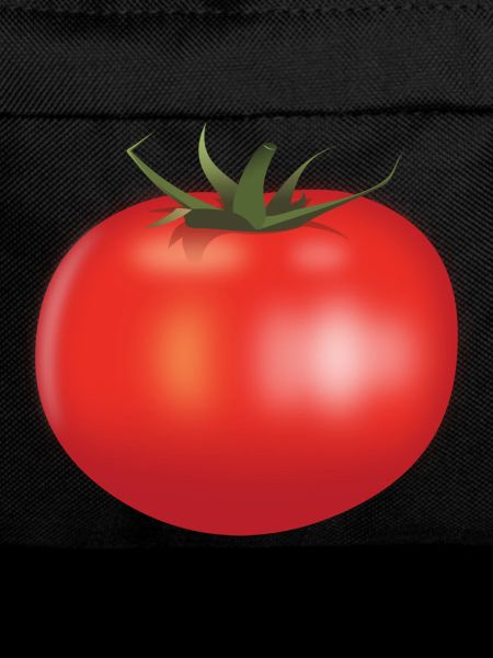 tomato