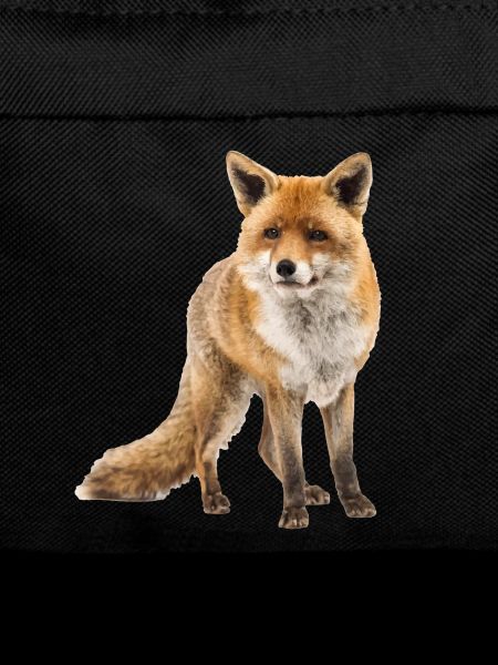 Fuchs