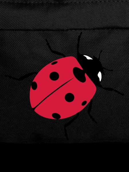 Ladybugs as good luck charms
