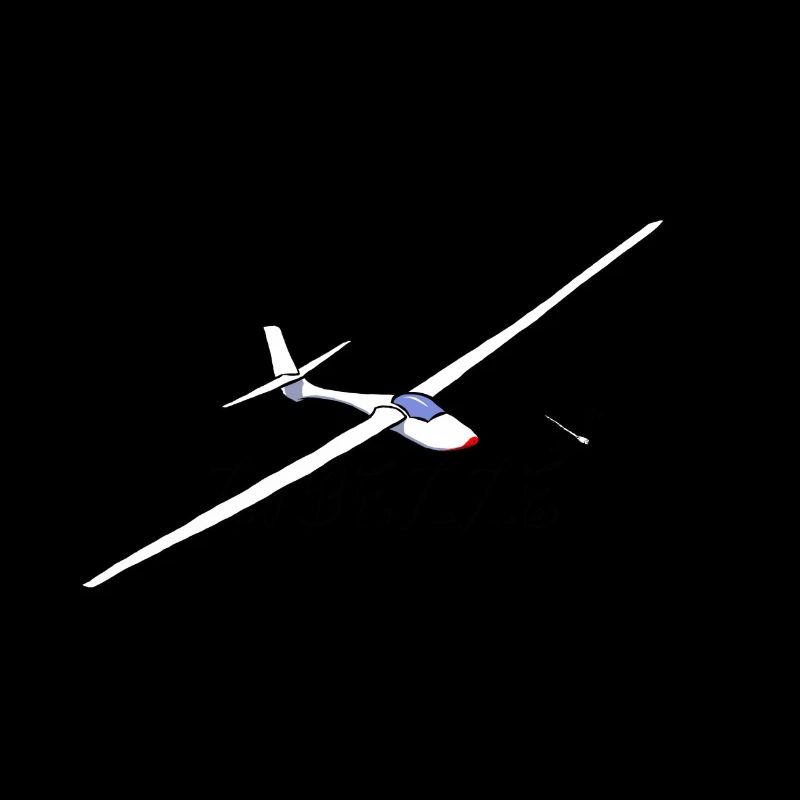 Libelle Segelflugzeug