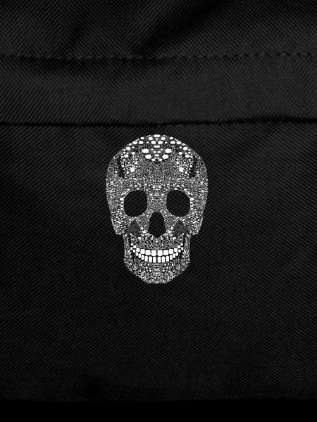 Santa Maria skull