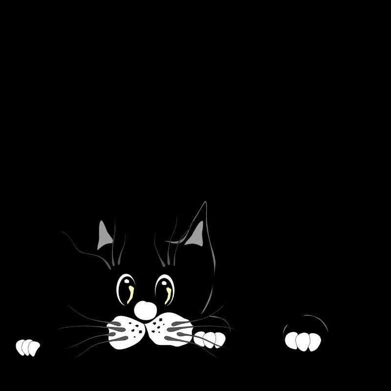 chat