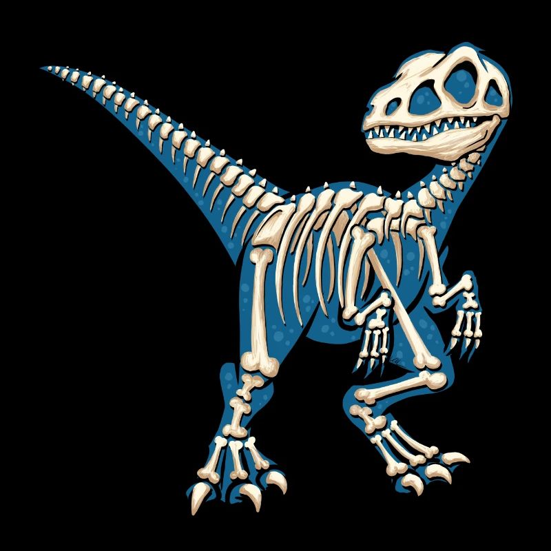 Prehistoric Dino Velociraptor skeleton bone Raptor