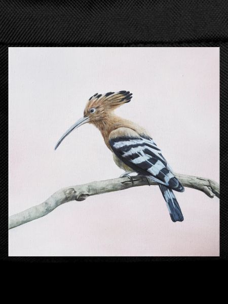 Vogel