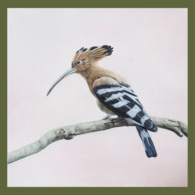 Vogel