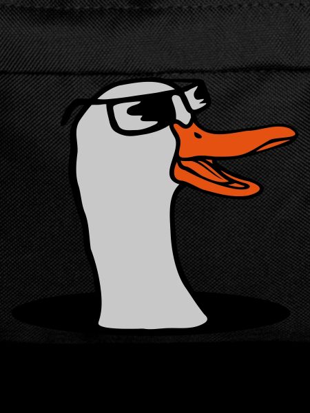 Bottom Hole Sunglasses Goose