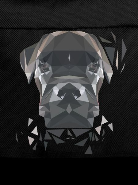 Boxer in Polygon-Art