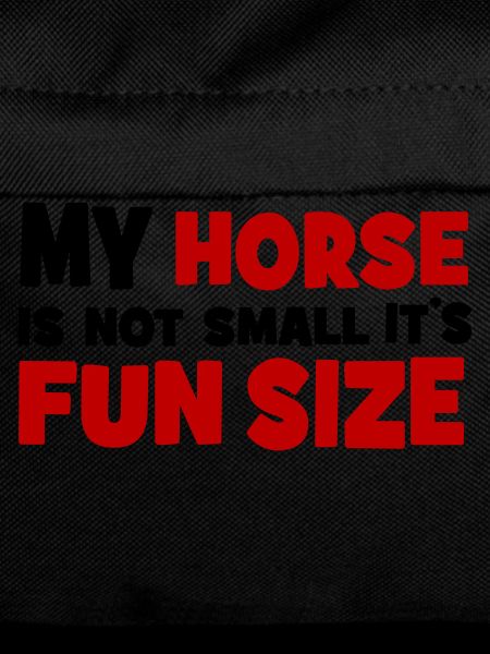 small horse