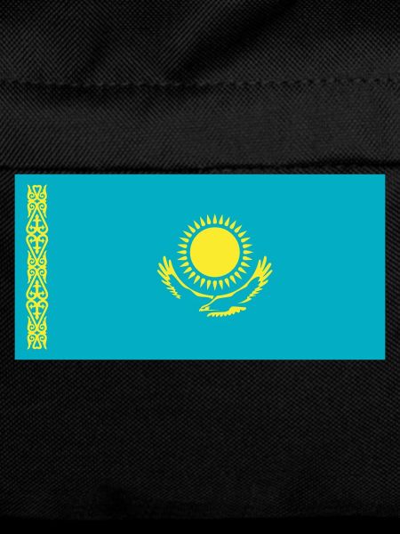 Kazakhstan Flag / Drapeau Kazakhstan