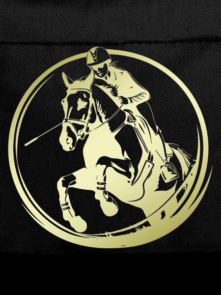 Silhouette de cheval d’équitation
