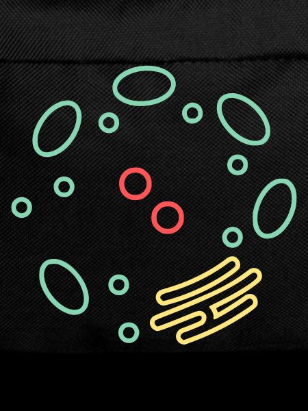 Cell Organelle Biology