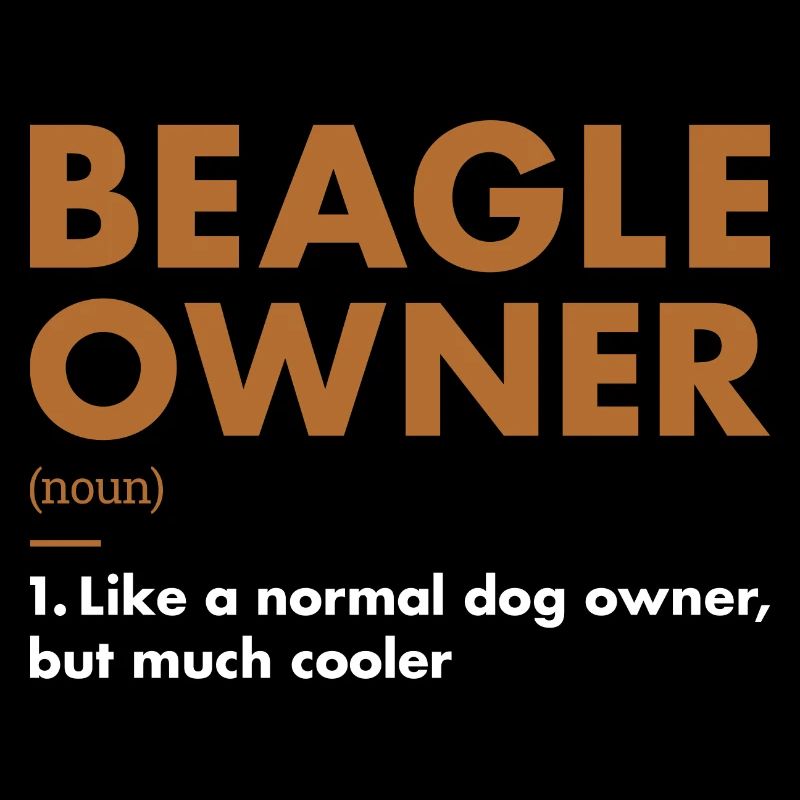 Définition du propriétaire du Beagle