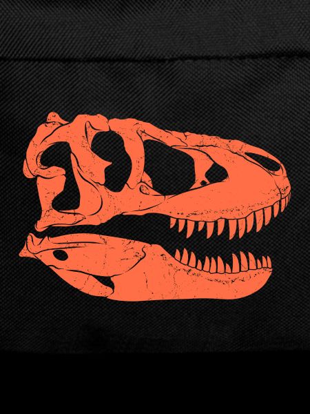 Tarbosaurus Fossil Skull