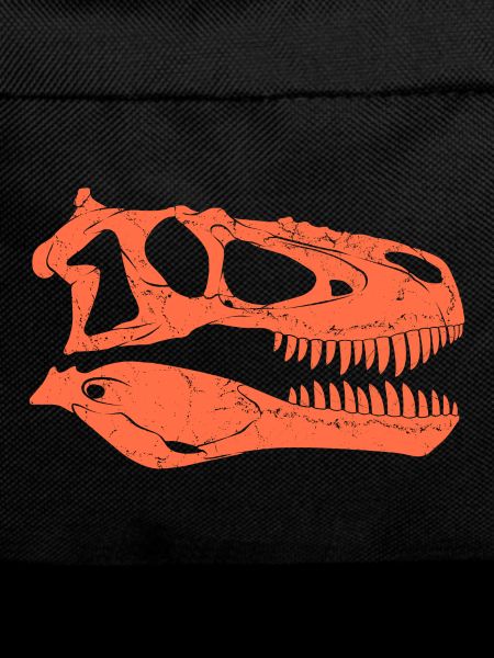 Daspletosaurus Fossilschädel