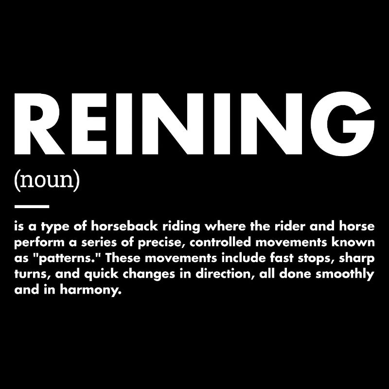 Reiner Definition Reining