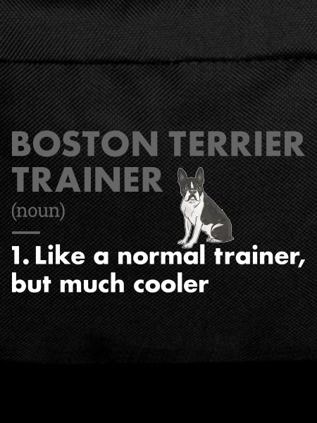 Boston Terrier Trainer Definition