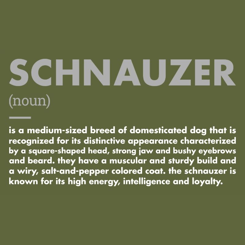 Schnauzer Definition