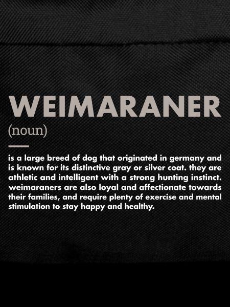 Weimaraner Definition