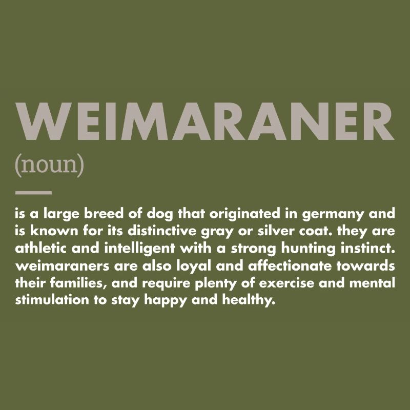 Weimaraner Definition