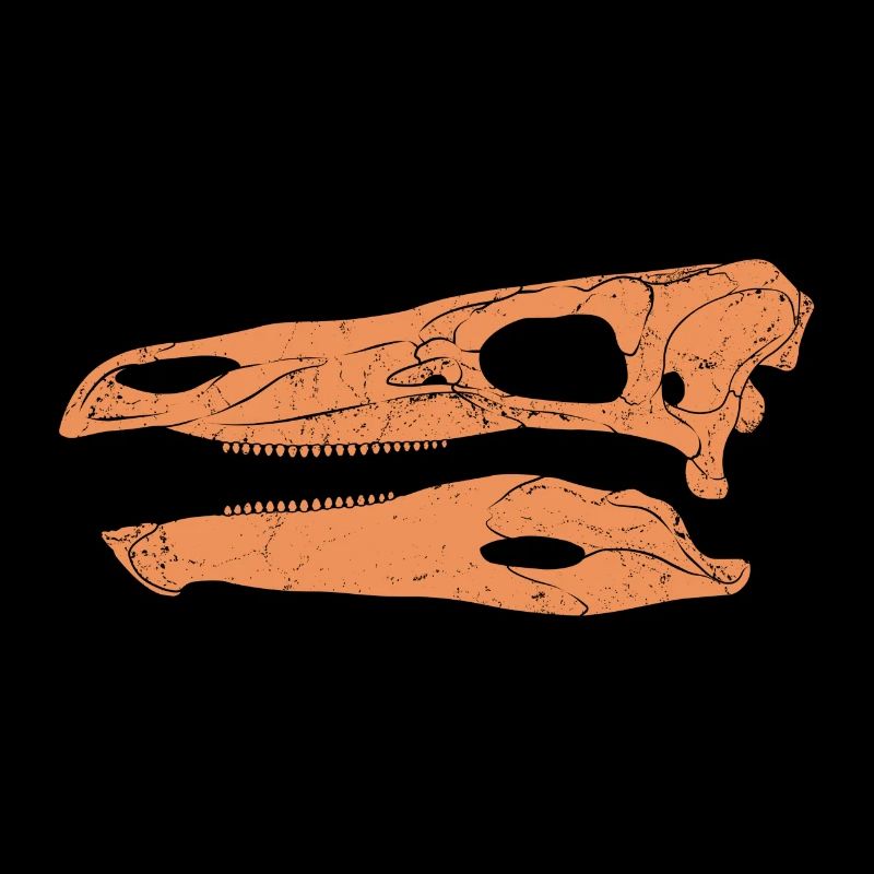 Stegosaurus Fossil Schädel