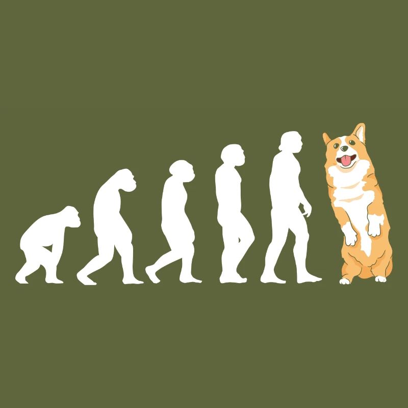 Dog Evolution Corgi