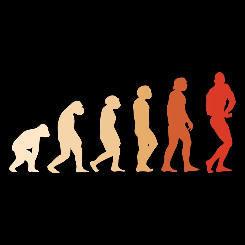 Musculation Sport Evolution