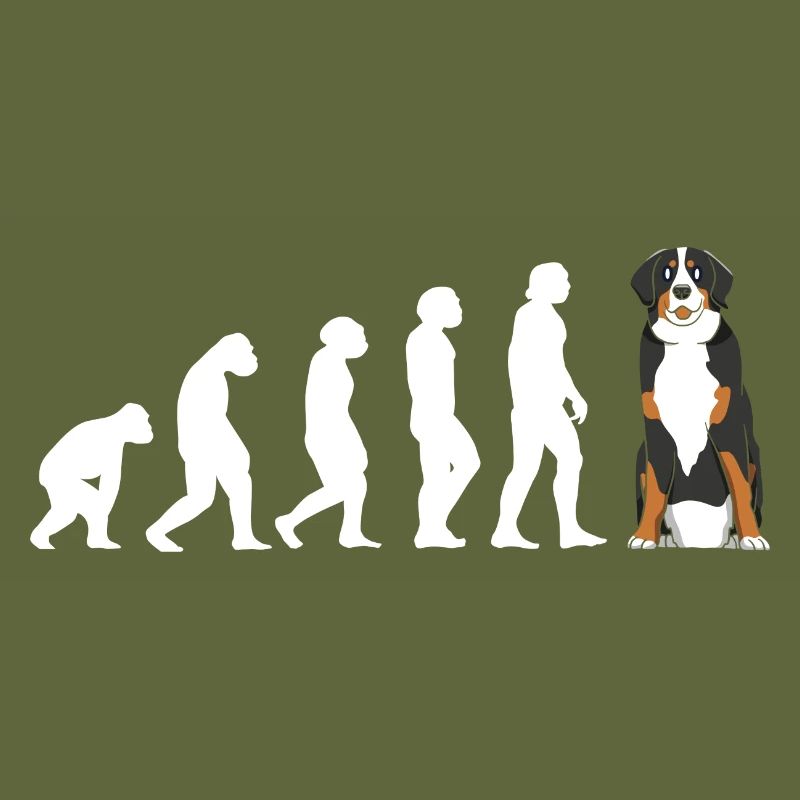 Evolution Bernese Mountain Dog
