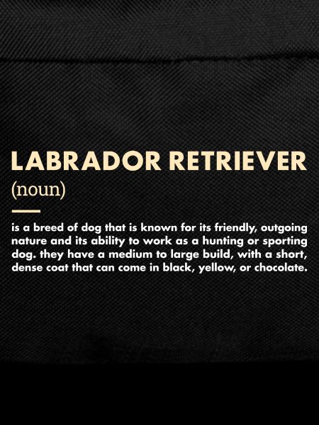 Labrador Retriever Definition