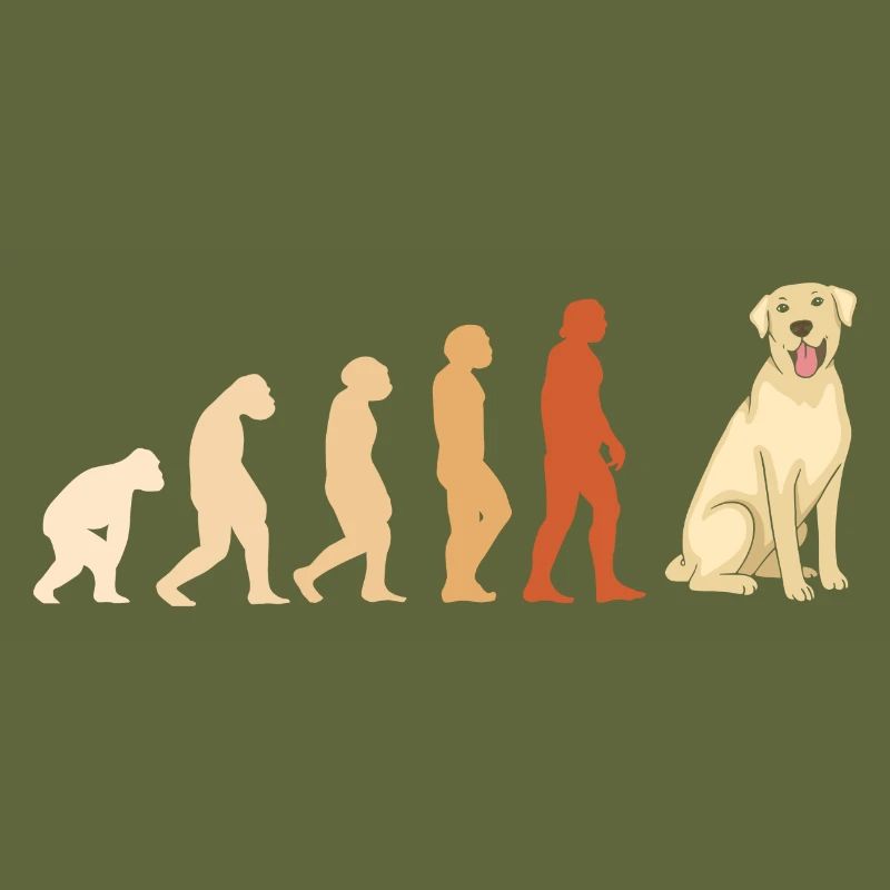 Evolution Labrador Retriever