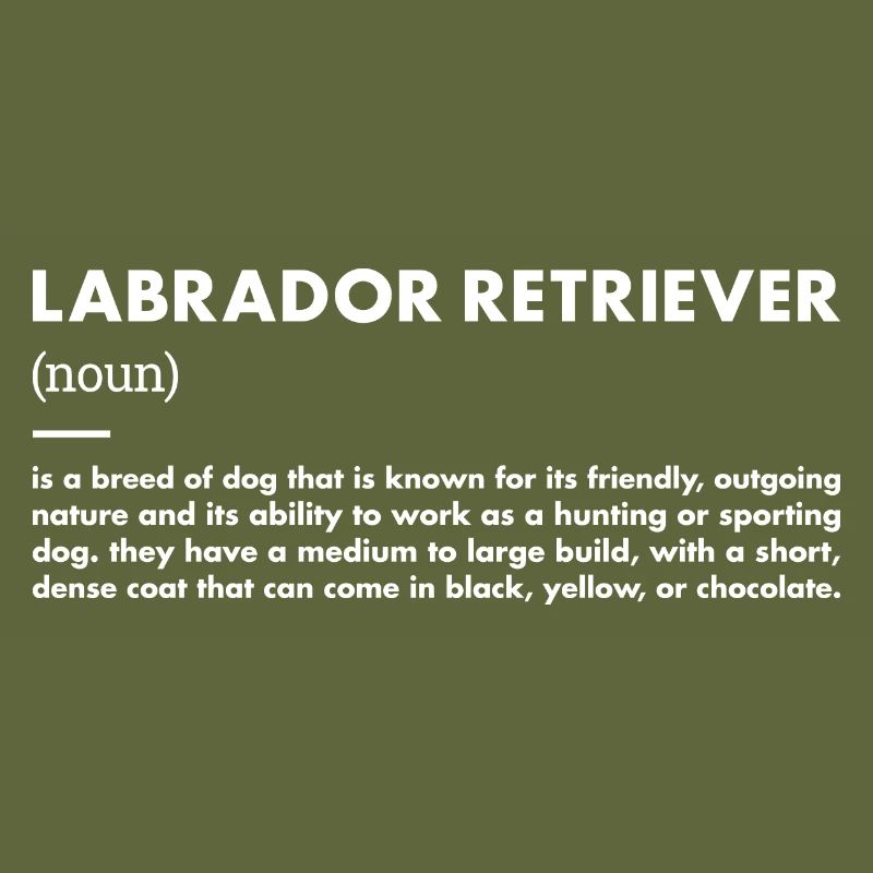 Définition du Labrador Retriever