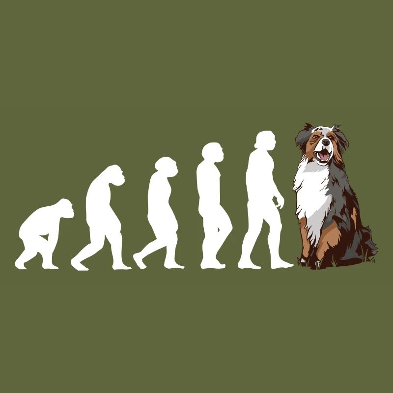 Dog Evolution Aussie