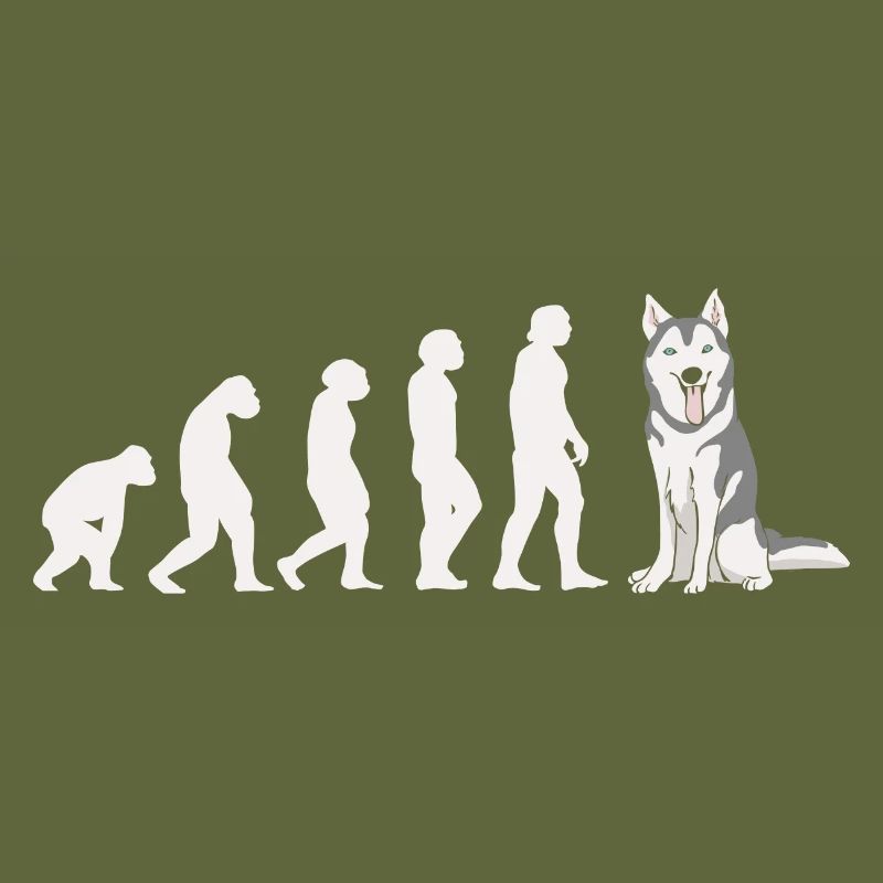 Evolution Siberian Husky