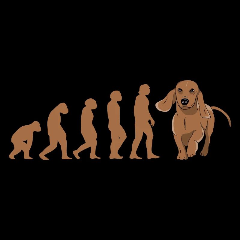 Evolution Dachshund