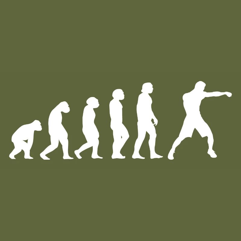 Sport Evolution MMA