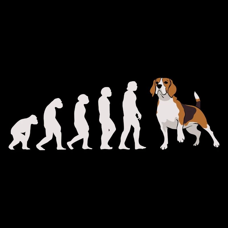 Evolution Beagle