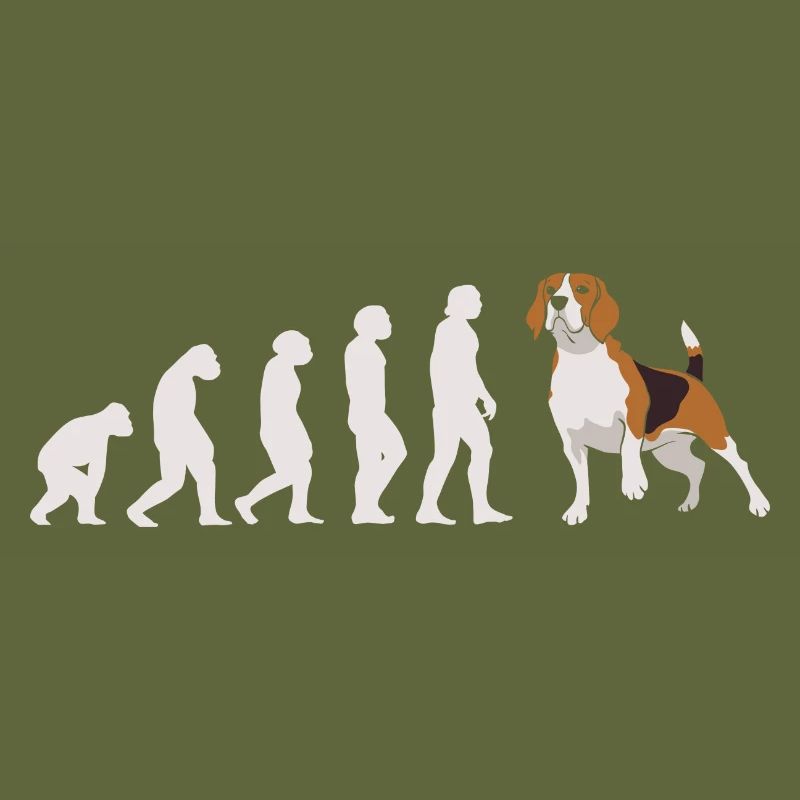 Evolution Beagle