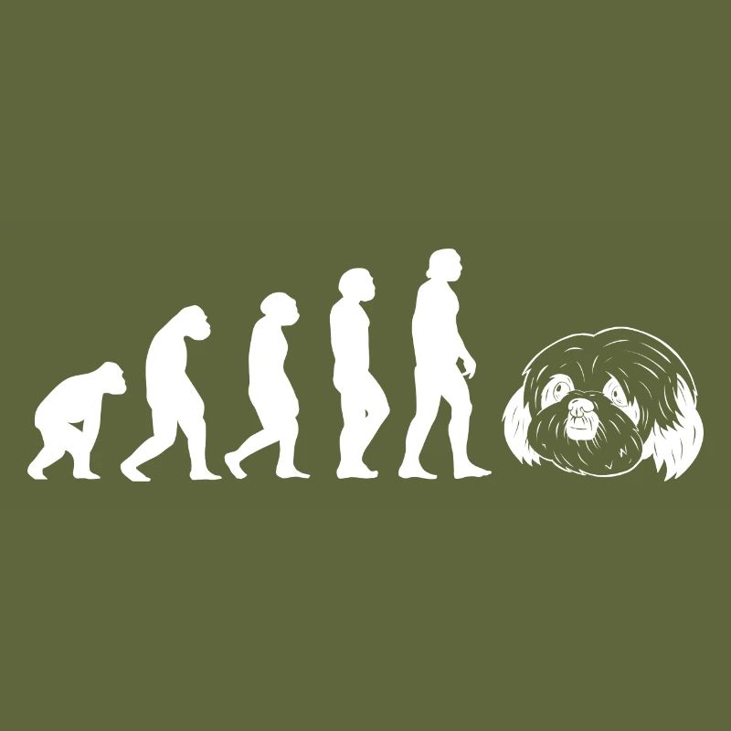 Evolution Shih Tzu