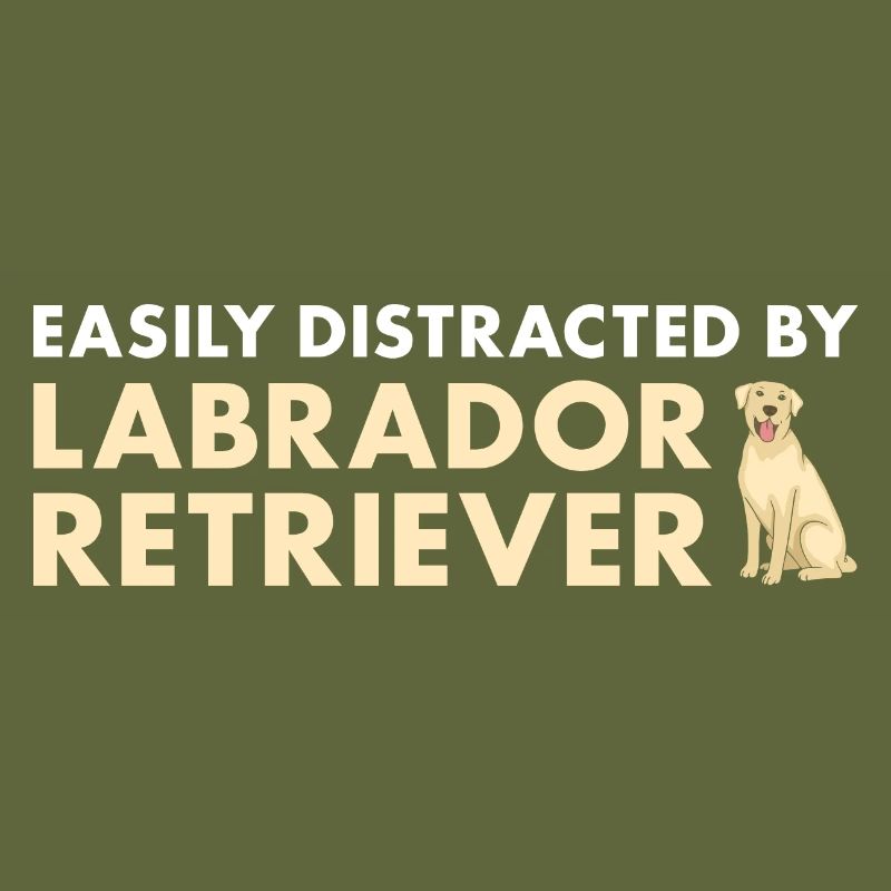 Easily Distracted By Labrador Retriever