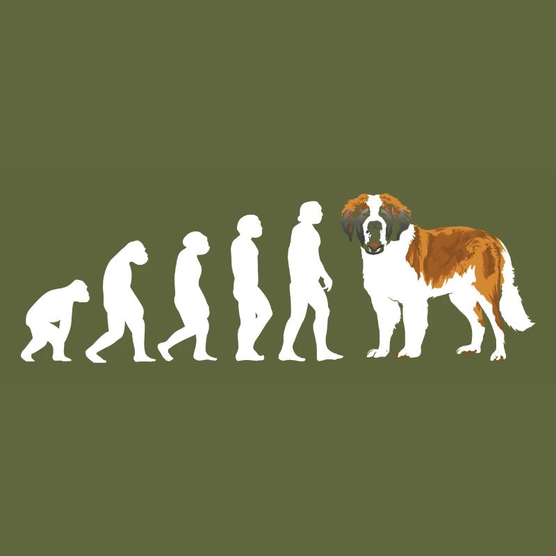 Evolution Saint Bernard