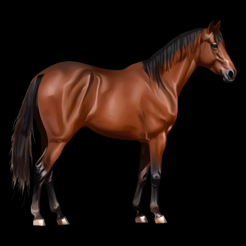 Serafina - cheval brun, debout