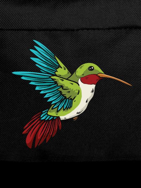Hummingbird bird hummingbirds Ruby-throated hummingbird