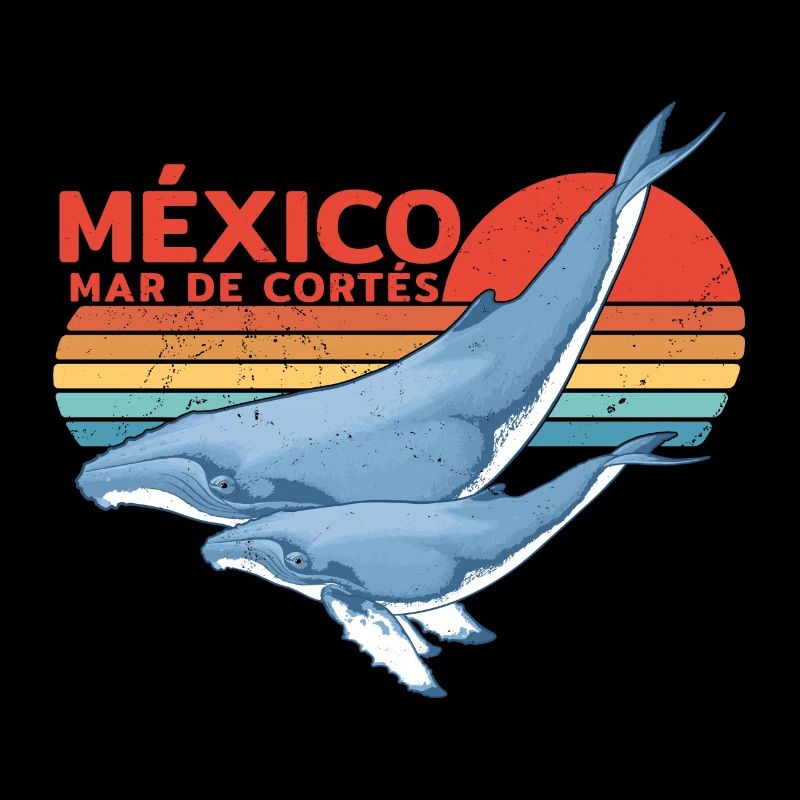 Buckelwale Mexiko