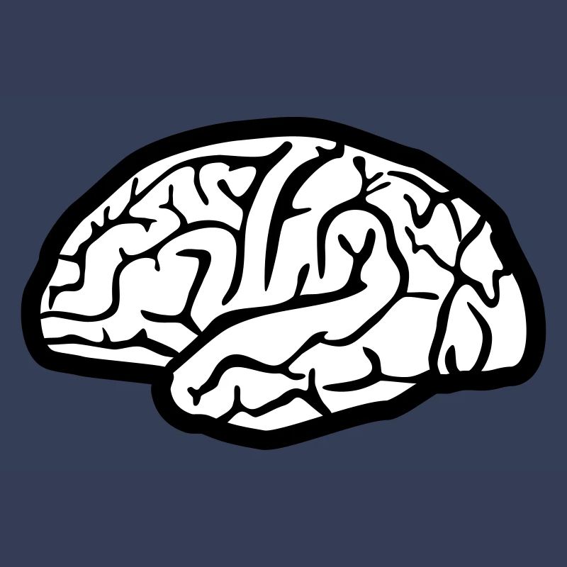 Brain