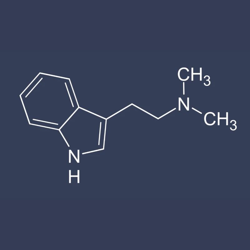 DMT dimethyltryptamine formule structurelle