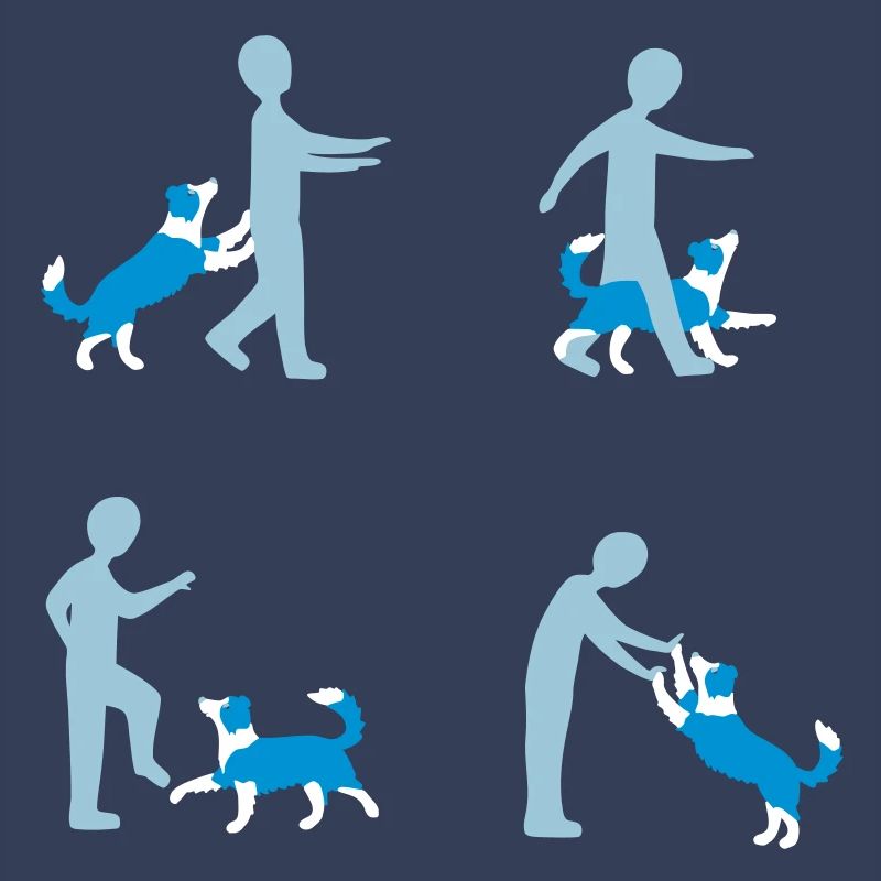 Dog Dancing 3-1