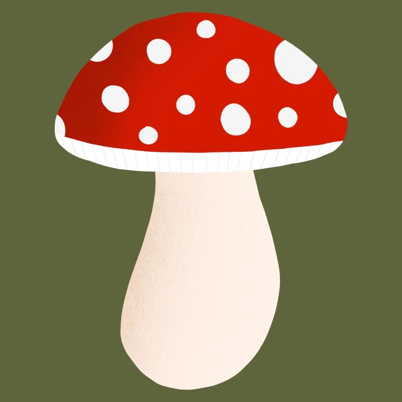 fly agaric mushroom