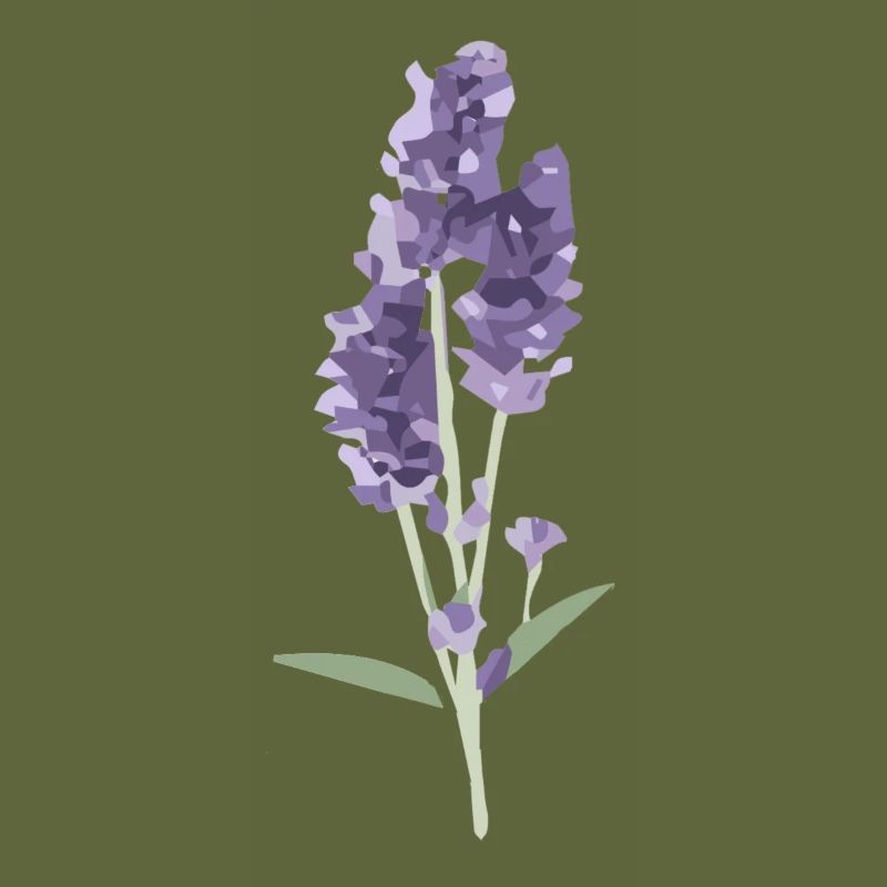 Lavendel