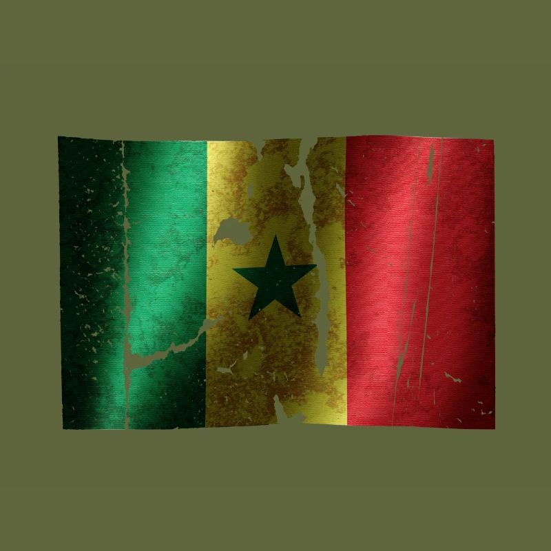 Drapeau du Sénégal cool vintage utilisé look sport