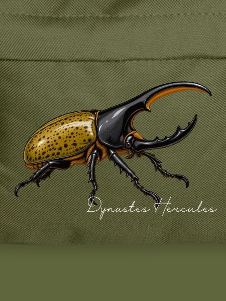 Herkuleskäfer Dynastes hercules