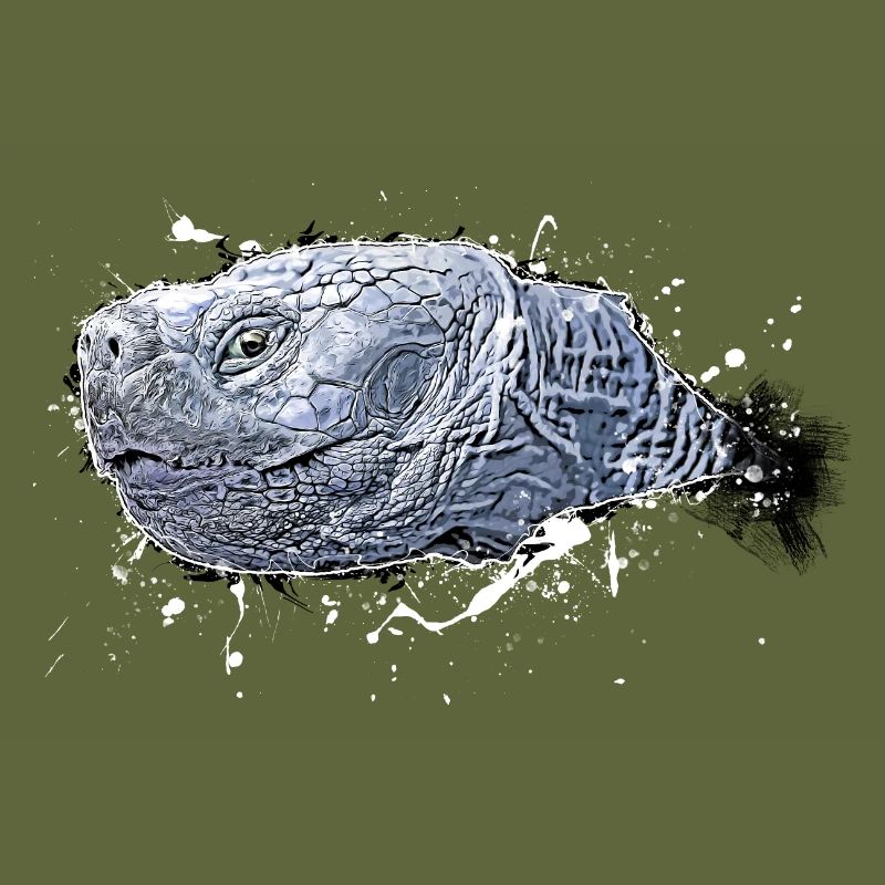 Schildkröte